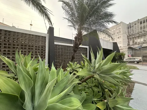 imagem 2 - Casa Comercial à Venda no bairro Lago Parque com 220m² útil na Região Central de Londrina imagem 2 - Casa Comercial à Venda no bairro Lago Parque com 220m² útil na Região Central de Londrina