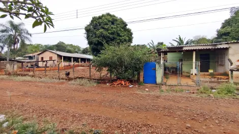 imagem 4 - Chácara Ampla à Venda na Zona Leste de Londrina, Próxima à Avenida das Maritacas imagem 4 - Chácara Ampla à Venda na Zona Leste de Londrina, Próxima à Avenida das Maritacas