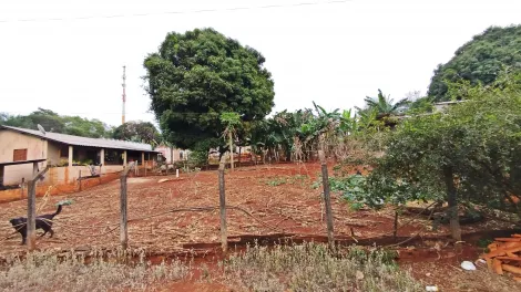 imagem 5 - Chácara Ampla à Venda na Zona Leste de Londrina, Próxima à Avenida das Maritacas imagem 5 - Chácara Ampla à Venda na Zona Leste de Londrina, Próxima à Avenida das Maritacas