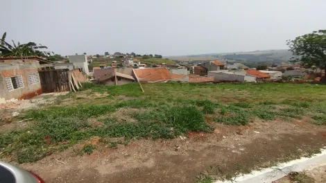 imagem 3 - Terreno à Venda no Condomínio Barra Forest com 250m² imagem 3 - Terreno à Venda no Condomínio Barra Forest com 250m²