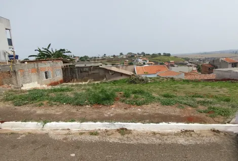 imagem 4 - Terreno à Venda no Condomínio Barra Forest com 250m² imagem 4 - Terreno à Venda no Condomínio Barra Forest com 250m²