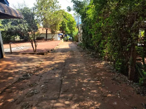 imagem 2 - Chácara Molhada à Venda Com 2.106,74m² em Alvorada do Sul imagem 2 - Chácara Molhada à Venda Com 2.106,74m² em Alvorada do Sul