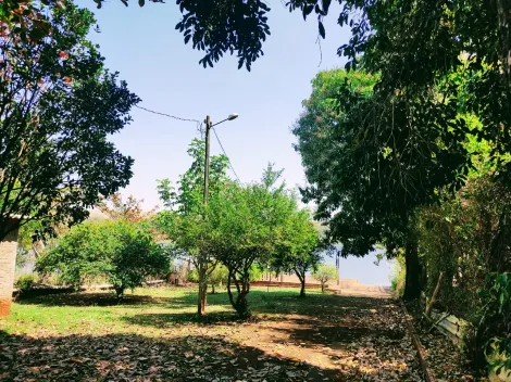 imagem 5 - Chácara Molhada à Venda Com 2.106,74m² em Alvorada do Sul imagem 5 - Chácara Molhada à Venda Com 2.106,74m² em Alvorada do Sul
