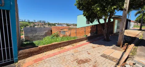 imagem 2 - Terreno Residencial para Venda no Alto da Boa Vista, região Norte imagem 2 - Terreno Residencial para Venda no Alto da Boa Vista, região Norte