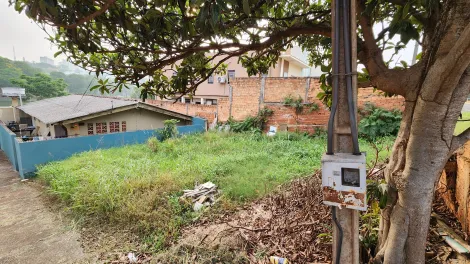 imagem 2 - Casa com 3 Dormitórios Próximo ao Lago Igapó imagem 2 - Casa com 3 Dormitórios Próximo ao Lago Igapó