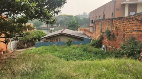 imagem 3 - Casa com 3 Dormitórios Próximo ao Lago Igapó imagem 3 - Casa com 3 Dormitórios Próximo ao Lago Igapó