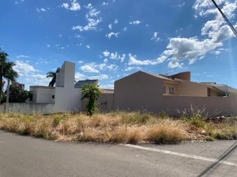 imagem 4 - Terreno à Venda no Jardim Eldorado com 442 m² em Cambé imagem 4 - Terreno à Venda no Jardim Eldorado com 442 m² em Cambé