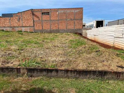imagem 1 - Terreno - Padrão imagem 1 - Terreno - Padrão