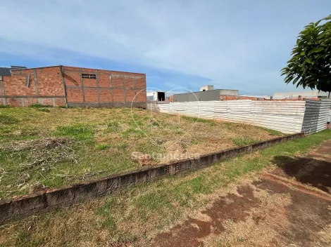 imagem 2 - Terreno - Padrão imagem 2 - Terreno - Padrão