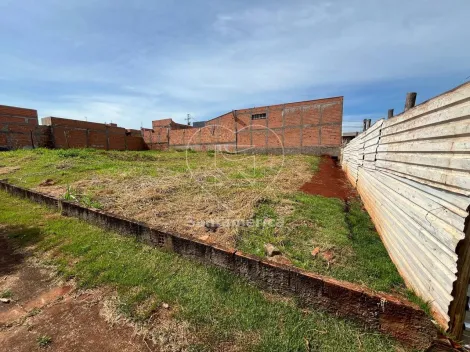imagem 3 - Terreno - Padrão imagem 3 - Terreno - Padrão