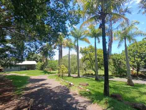 imagem 3 - Chácara na Fazenda Nata para Locação em Londrina imagem 3 - Chácara na Fazenda Nata para Locação em Londrina