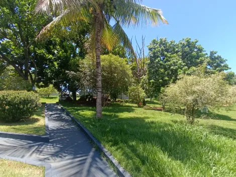 imagem 5 - Chácara na Fazenda Nata para Locação em Londrina imagem 5 - Chácara na Fazenda Nata para Locação em Londrina