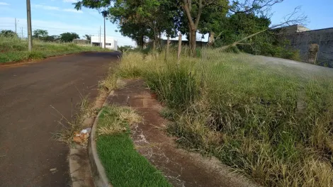 imagem 1 - Terreno à Venda na Região Norte de Londrina imagem 1 - Terreno à Venda na Região Norte de Londrina