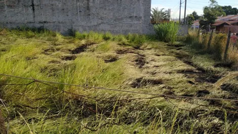 imagem 2 - Terreno à Venda na Região Norte de Londrina imagem 2 - Terreno à Venda na Região Norte de Londrina