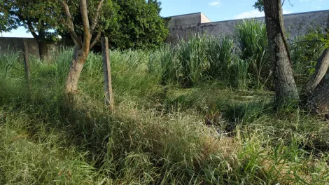 imagem 3 - Terreno à Venda na Região Norte de Londrina imagem 3 - Terreno à Venda na Região Norte de Londrina