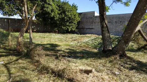 imagem 5 - Terreno à Venda na Região Norte de Londrina imagem 5 - Terreno à Venda na Região Norte de Londrina