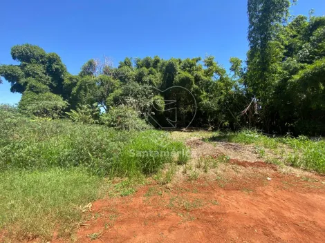 imagem 2 - Terreno com 450m² à venda na região Sul de Londrina imagem 2 - Terreno com 450m² à venda na região Sul de Londrina