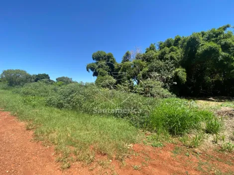 imagem 4 - Terreno com 450m² à venda na região Sul de Londrina imagem 4 - Terreno com 450m² à venda na região Sul de Londrina