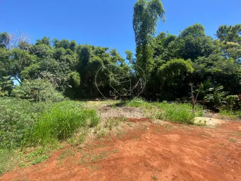 imagem 5 - Terreno com 450m² à venda na região Sul de Londrina imagem 5 - Terreno com 450m² à venda na região Sul de Londrina