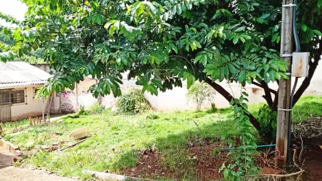 imagem 5 - Terreno com 300m² para venda na região central em Londrina imagem 5 - Terreno com 300m² para venda na região central em Londrina
