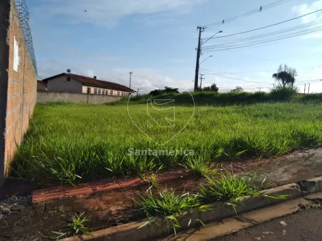 imagem 1 - Terreno de 277,44m² à Venda no Jardim Strass, Região Norte imagem 1 - Terreno de 277,44m² à Venda no Jardim Strass, Região Norte