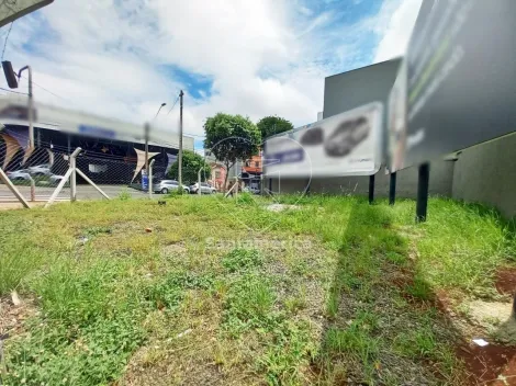 imagem 1 - Terreno para alugar na Região Central de Londrina com 180m² imagem 1 - Terreno para alugar na Região Central de Londrina com 180m²