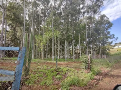 imagem 2 - Chácara à venda em Maravilha imagem 2 - Chácara à venda em Maravilha