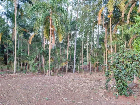 imagem 3 - Chácara à venda em Maravilha imagem 3 - Chácara à venda em Maravilha
