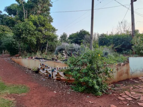 imagem 4 - Chácara à venda em Maravilha imagem 4 - Chácara à venda em Maravilha