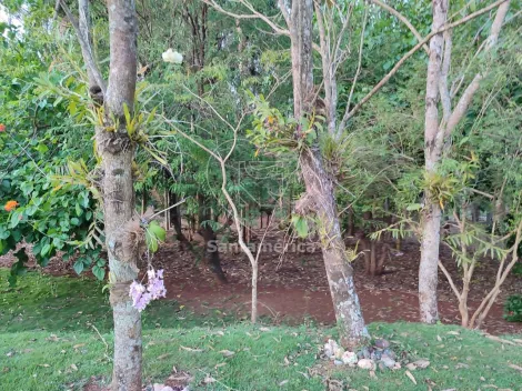 imagem 5 - Chácara à venda em Maravilha imagem 5 - Chácara à venda em Maravilha