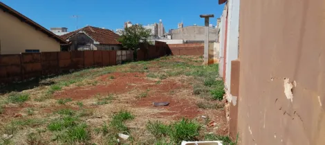 imagem 5 - Amplo Terreno à Venda no Jardim Palmares, Centro de Londrina imagem 5 - Amplo Terreno à Venda no Jardim Palmares, Centro de Londrina