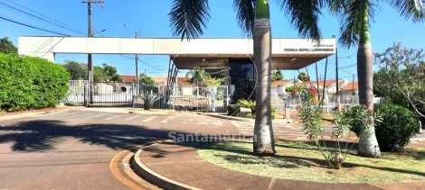 imagem 1 - Casa em condomínio com 3 quartos à venda no Condomínio Terra Nova - região Norte de Londrina imagem 1 - Casa em condomínio com 3 quartos à venda no Condomínio Terra Nova - região Norte de Londrina