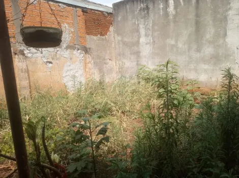 imagem 5 - Casa residencial na Vila Casoni com 62m² de área privativa contendo 3 dormitórios imagem 5 - Casa residencial na Vila Casoni com 62m² de área privativa contendo 3 dormitórios
