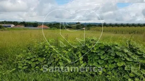 imagem 4 - Terreno para Locação na Região Norte de Londrina com 5200.00m² imagem 4 - Terreno para Locação na Região Norte de Londrina com 5200.00m²