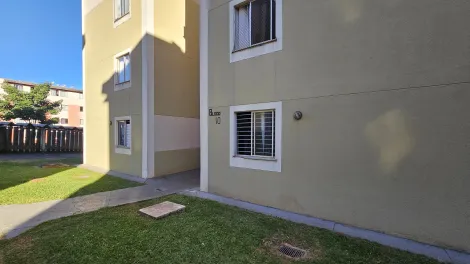 imagem 3 - Apartamento 3 quartos para alugar no Residencial Jardim das Américas - Norte II, Coliseu, região Norte de Londrina imagem 3 - Apartamento 3 quartos para alugar no Residencial Jardim das Américas - Norte II, Coliseu, região Norte de Londrina
