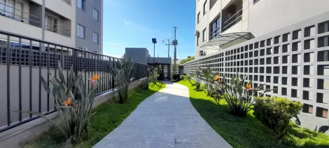 imagem 2 - Apartamento - Padrão imagem 2 - Apartamento - Padrão
