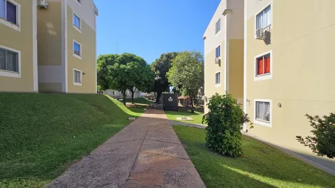 imagem 2 - Apartamento térreo para alugar no Residencial Jardim das Américas Norte II, Jardim Coliseu, Zona Norte de Londrina imagem 2 - Apartamento térreo para alugar no Residencial Jardim das Américas Norte II, Jardim Coliseu, Zona Norte de Londrina