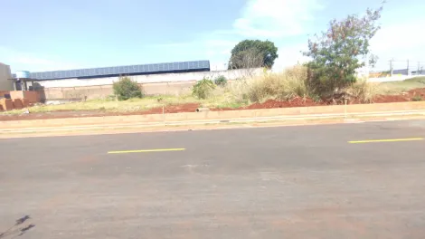 imagem 3 - Terreno à venda na região Norte de Londrina com 300m² imagem 3 - Terreno à venda na região Norte de Londrina com 300m²