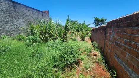 imagem 3 - Terreno - Comercial imagem 3 - Terreno - Comercial