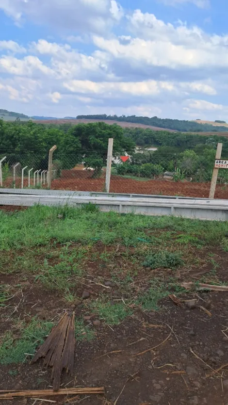 imagem 5 - Chácara à Venda no Distrito de Maravilha com 5.000 m² às Margens do Rio Tibagi. imagem 5 - Chácara à Venda no Distrito de Maravilha com 5.000 m² às Margens do Rio Tibagi.
