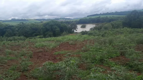 imagem 3 - Chácara à Venda no Distrito de Maravilha com 5.000 m² às Margens do Rio Tibagi. imagem 3 - Chácara à Venda no Distrito de Maravilha com 5.000 m² às Margens do Rio Tibagi.