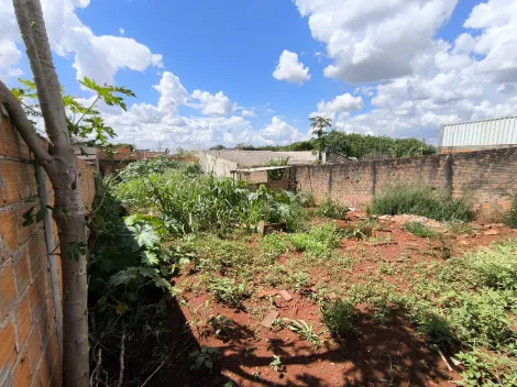 imagem 4 - Terreno à venda no Jardim Vitória em Cambé imagem 4 - Terreno à venda no Jardim Vitória em Cambé