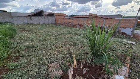 imagem 3 - Terreno plano para Venda no Jardim Verona na Região Norte imagem 3 - Terreno plano para Venda no Jardim Verona na Região Norte