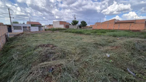imagem 5 - Terreno plano para Venda no Jardim Verona na Região Norte imagem 5 - Terreno plano para Venda no Jardim Verona na Região Norte