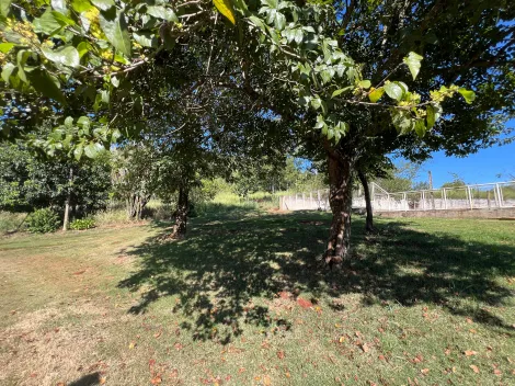 imagem 4 - Chácara à Venda no Recanto Fazenda Nata - com 3 quartos, sendo 1 suíte imagem 4 - Chácara à Venda no Recanto Fazenda Nata - com 3 quartos, sendo 1 suíte