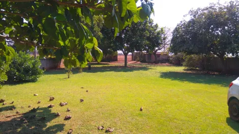 imagem 2 - Chácara à venda no Gasparelli IV com 1 súite em Alvorada do Sul imagem 2 - Chácara à venda no Gasparelli IV com 1 súite em Alvorada do Sul