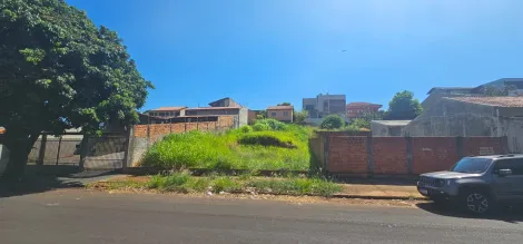 imagem 1 - Terreno - Padrão imagem 1 - Terreno - Padrão