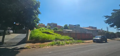 imagem 2 - Terreno - Padrão imagem 2 - Terreno - Padrão