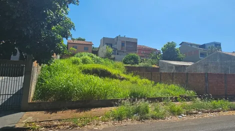 imagem 5 - Terreno - Padrão imagem 5 - Terreno - Padrão