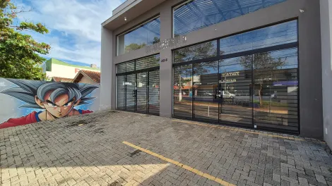 imagem 3 - Barracão Amplo Para Alugar na Avenida Saul Elkind com Pé Direito Duplo imagem 3 - Barracão Amplo Para Alugar na Avenida Saul Elkind com Pé Direito Duplo